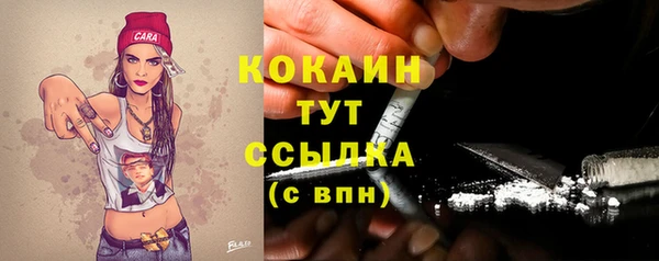 гашик Вязьма