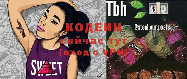 меф Вяземский