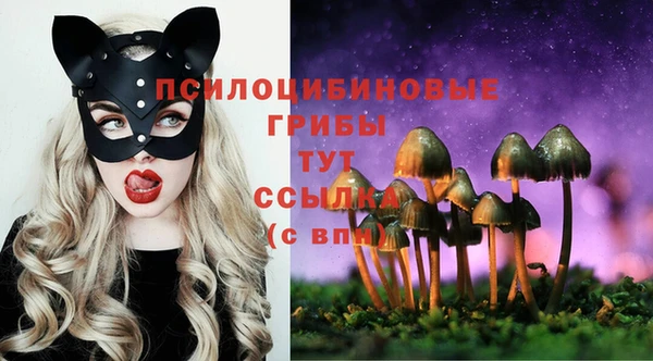 гашик Вязьма