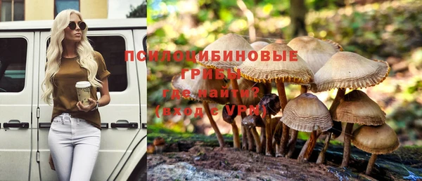 СК Вязники