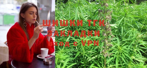 меф Вяземский
