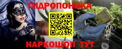 герыч Можга