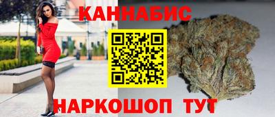 сатива Моздок