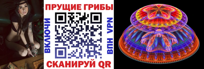 цена   Джанкой  блэк спрут маркетплейс  Псилоцибиновые грибы мицелий 