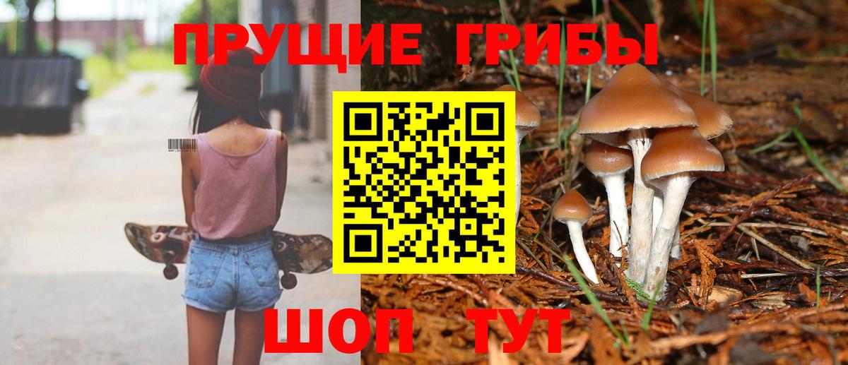 Джанкой  купить   Вход с VPN  Галлюциногенные грибы Psilocybe 